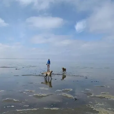 Huis Direct Ann De Waddenzee Meerblick 20 Meter Blick Aufs Wattenmeer